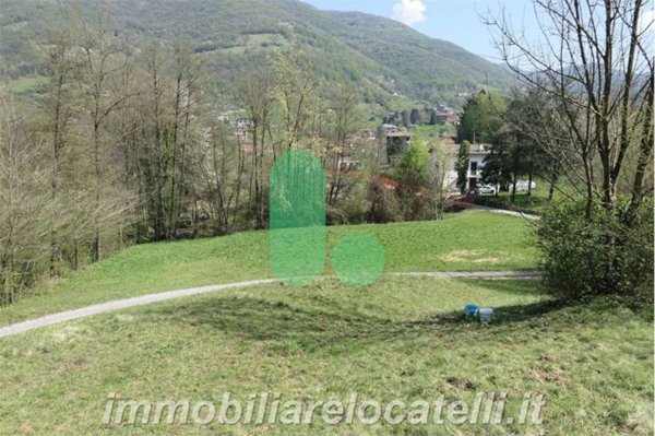 terreno agricolo in vendita ad Albino