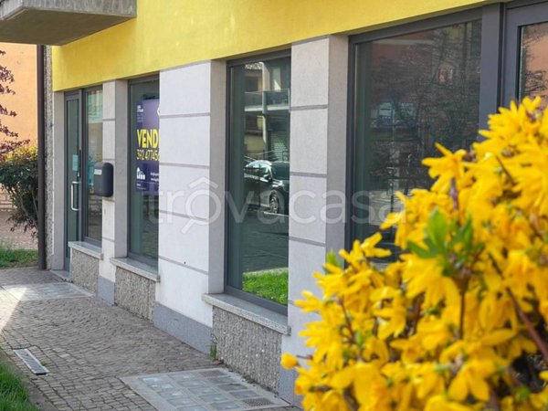 negozio in vendita ad Almè