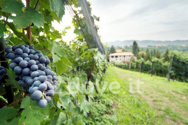 casale in vendita ad Almenno San Bartolomeo