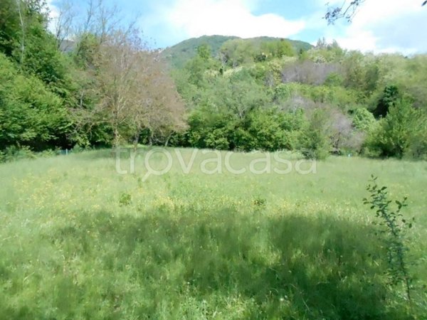 terreno agricolo in vendita ad Almenno San Bartolomeo in zona Barlino