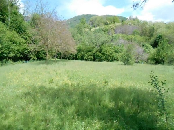 terreno agricolo in vendita ad Almenno San Bartolomeo in zona Canova