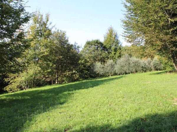 terreno in vendita ad Almenno San Bartolomeo in zona Carobais