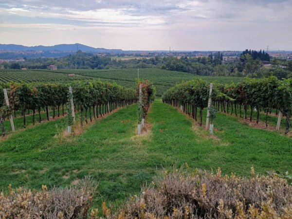 intera palazzina in vendita ad Almenno San Salvatore