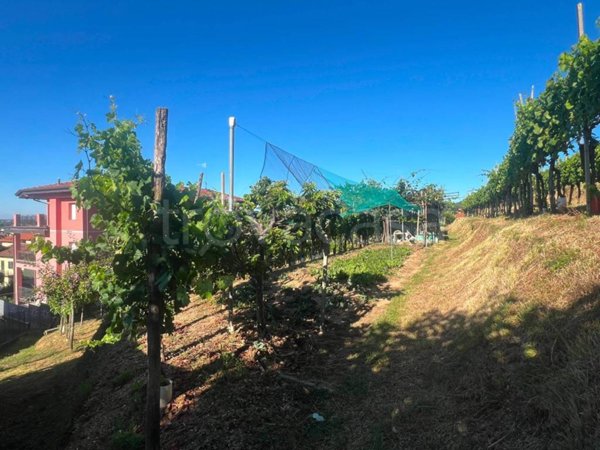 terreno agricolo in vendita ad Almenno San Salvatore
