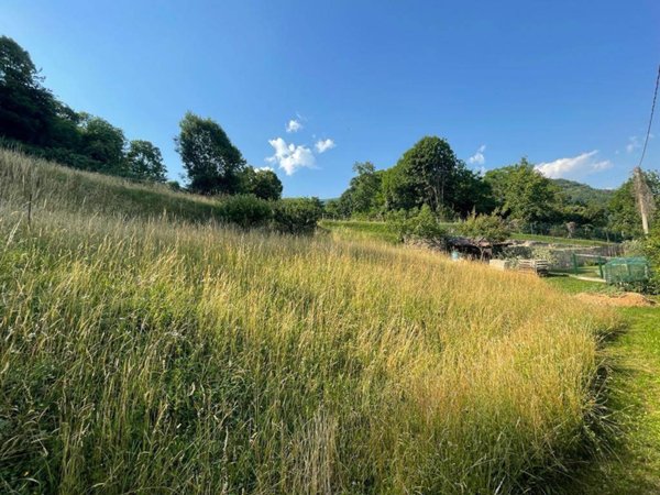 terreno agricolo in vendita ad Alzano Lombardo