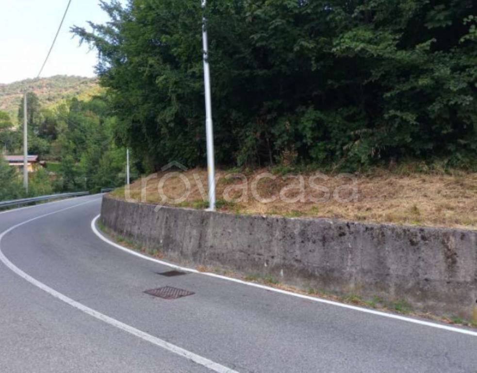 terreno agricolo in vendita ad Alzano Lombardo