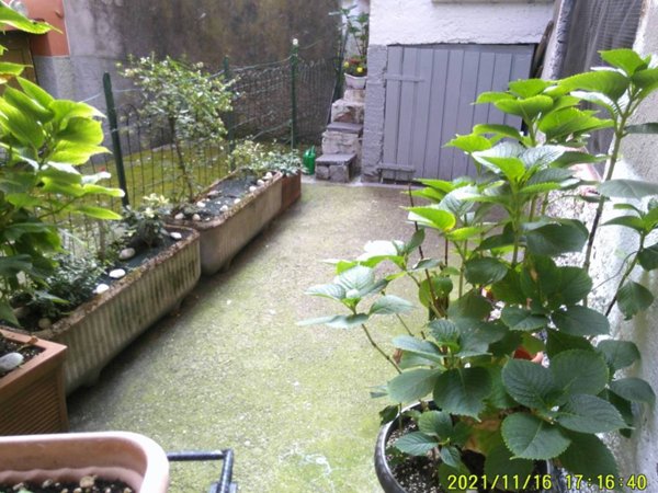 appartamento in vendita ad Alzano Lombardo