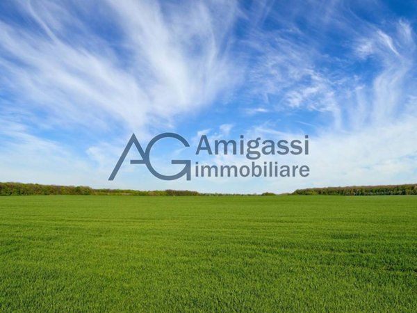 terreno agricolo in vendita ad Alzano Lombardo