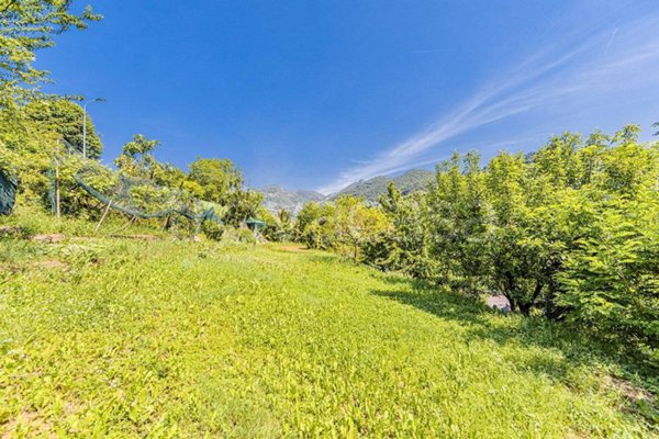 terreno agricolo in vendita ad Alzano Lombardo