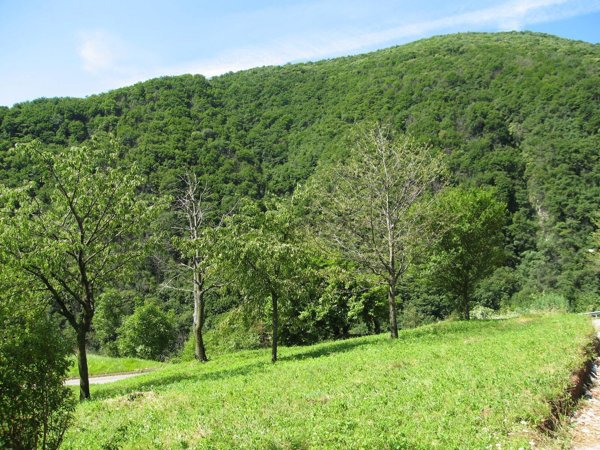 casa indipendente in vendita ad Alzano Lombardo in zona Olera