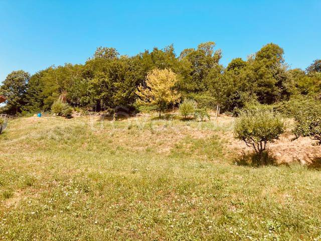 terreno agricolo in vendita ad Alzano Lombardo