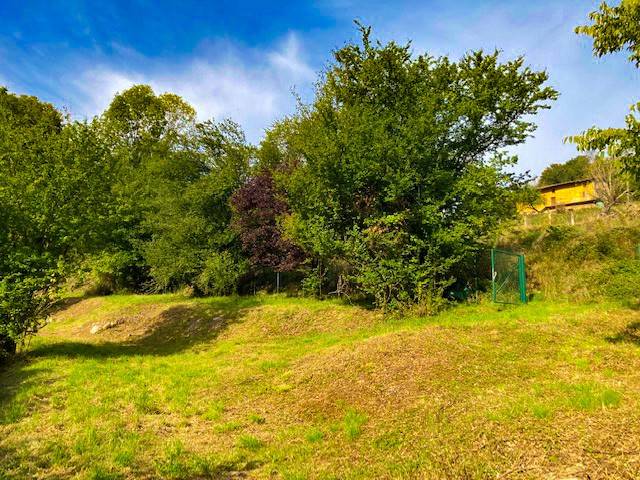 terreno agricolo in vendita ad Alzano Lombardo