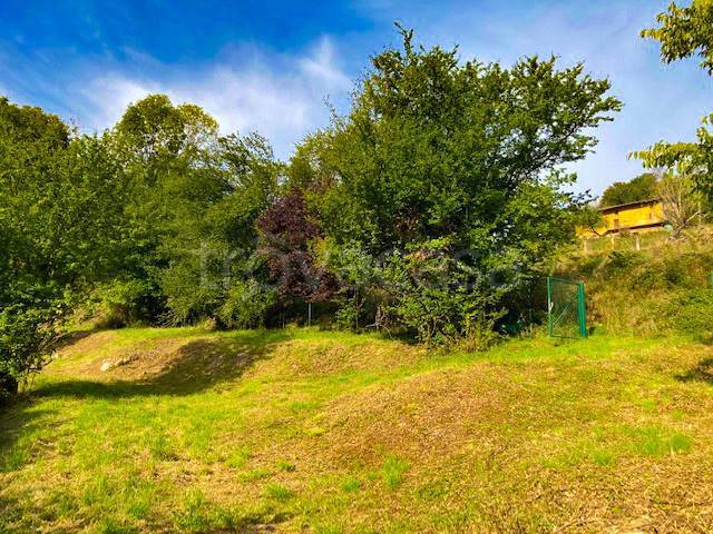terreno agricolo in vendita ad Alzano Lombardo
