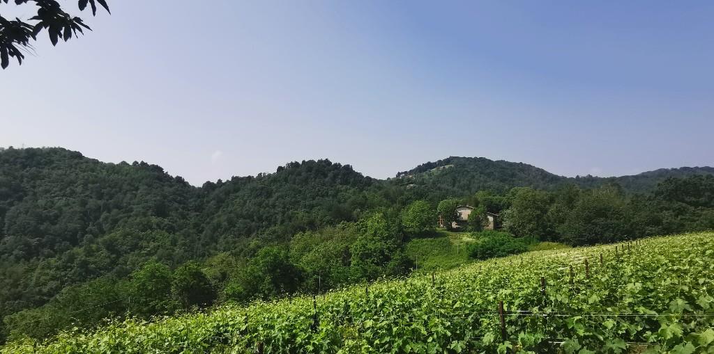casa indipendente in vendita ad Ambivere