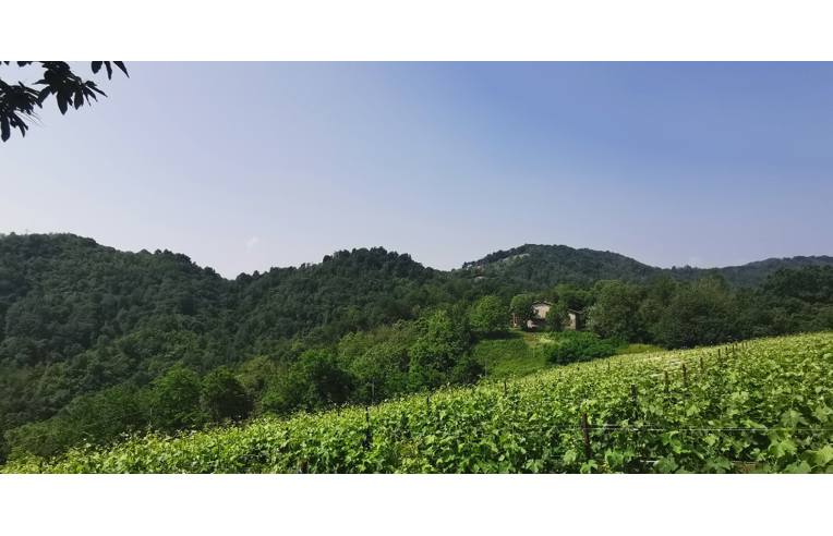 casale in vendita ad Ambivere