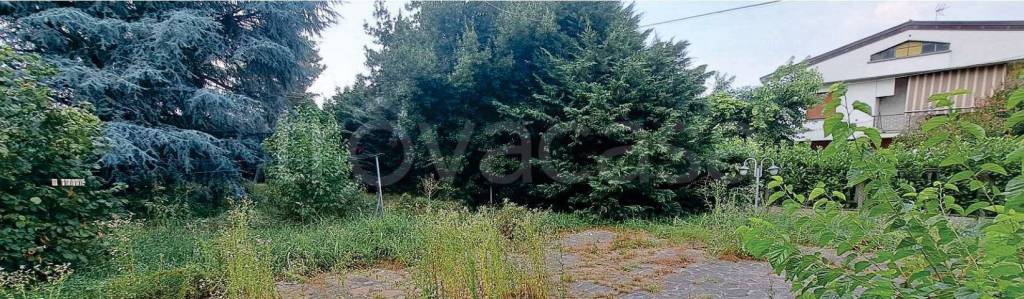 terreno agricolo in vendita ad Arcene