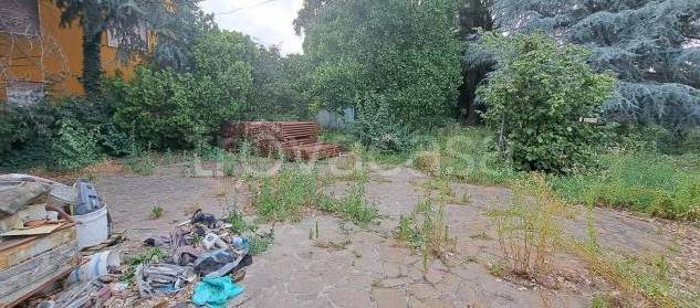 terreno agricolo in vendita ad Arcene
