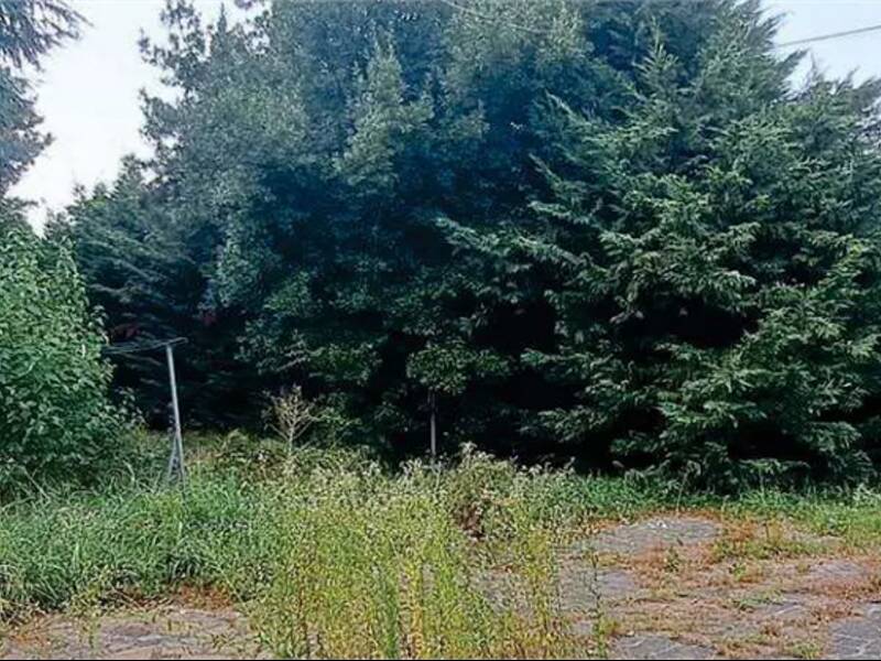 terreno edificabile in vendita ad Arcene