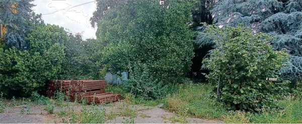 terreno edificabile in vendita ad Arcene