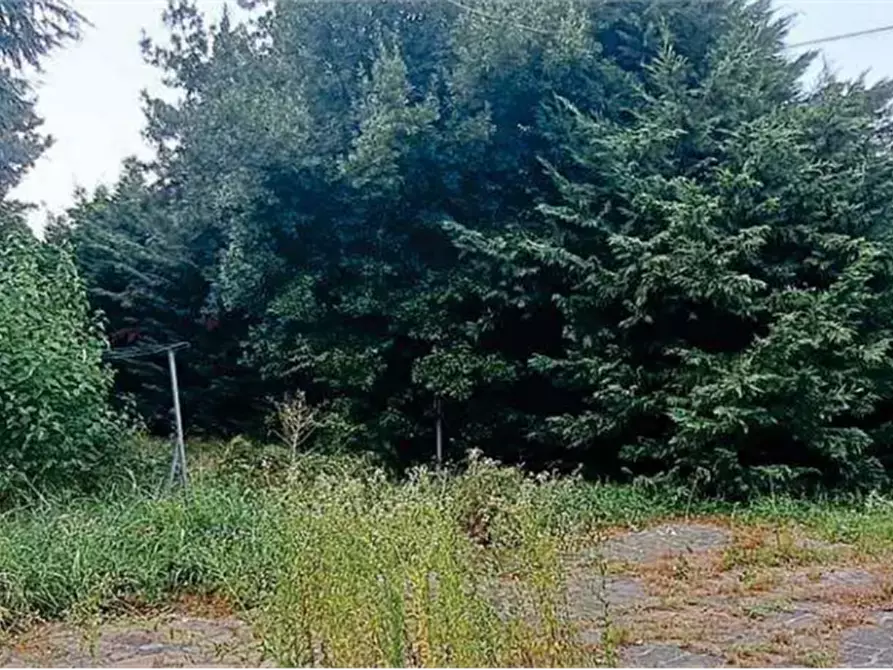 terreno edificabile in vendita ad Arcene