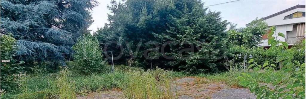 terreno agricolo in vendita ad Arcene