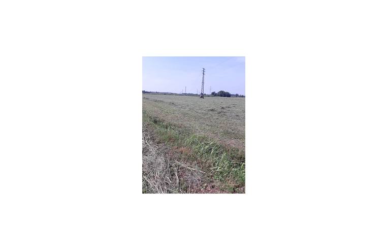 terreno agricolo in vendita ad Arcene