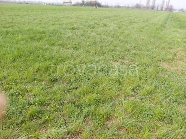 terreno agricolo in vendita ad Arcene