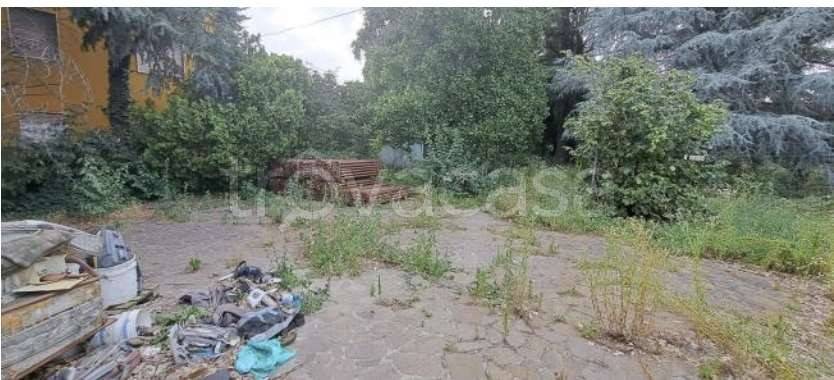 terreno agricolo in vendita ad Arcene