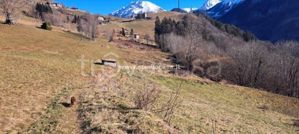 terreno agricolo in vendita ad Ardesio