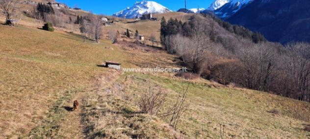 terreno agricolo in vendita ad Ardesio