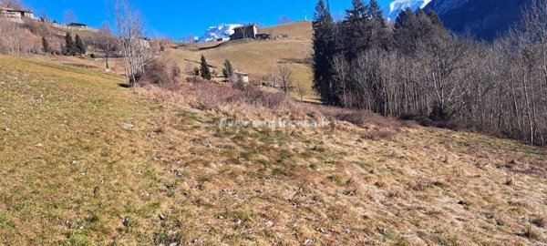 terreno agricolo in vendita ad Ardesio