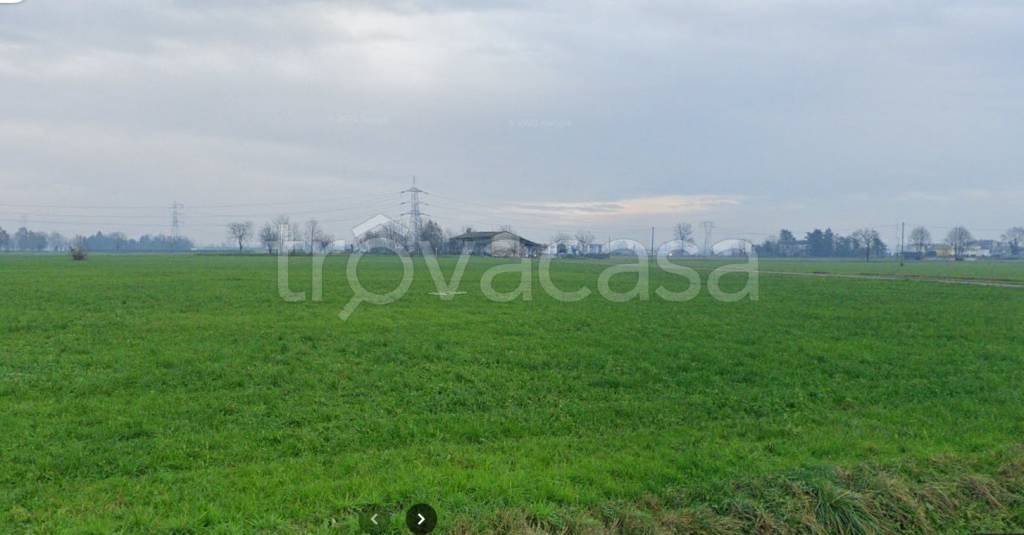 terreno agricolo in vendita ad Arzago d'Adda