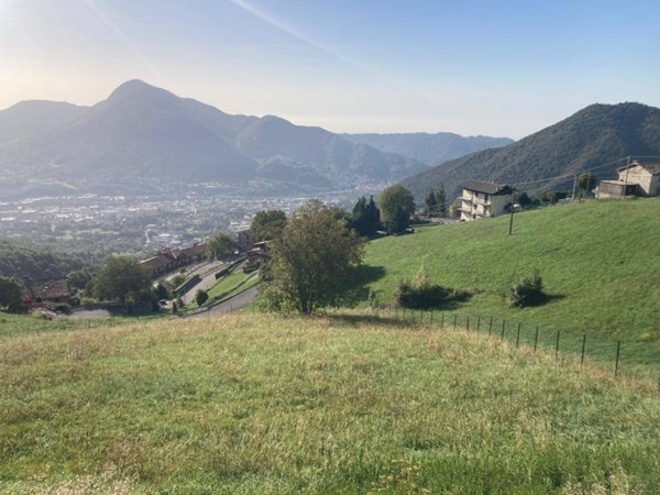 terreno agricolo in vendita ad Aviatico