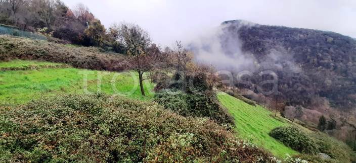 villa in vendita ad Aviatico in zona Amora