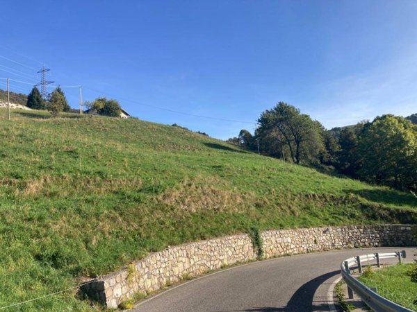 terreno agricolo in vendita ad Aviatico