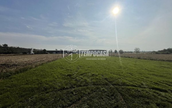 terreno agricolo in vendita ad Agliè