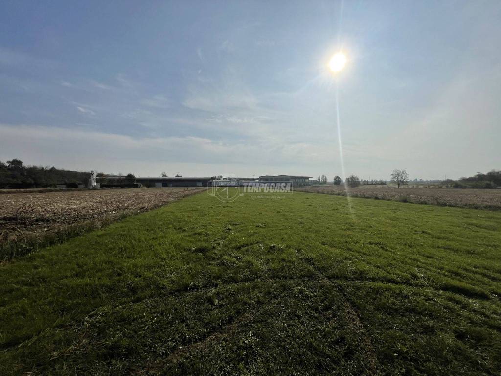 terreno agricolo in vendita ad Agliè