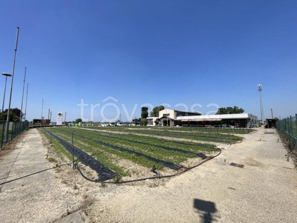 terreno agricolo in vendita a Barbata