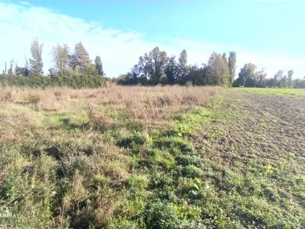 terreno agricolo in vendita a Bariano