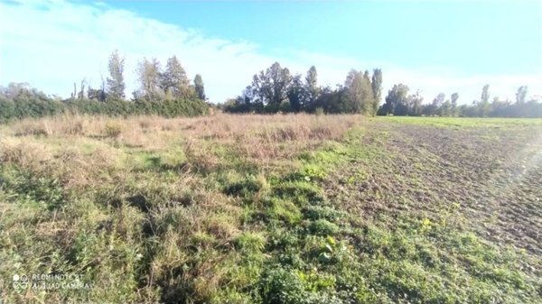 terreno agricolo in vendita a Bariano