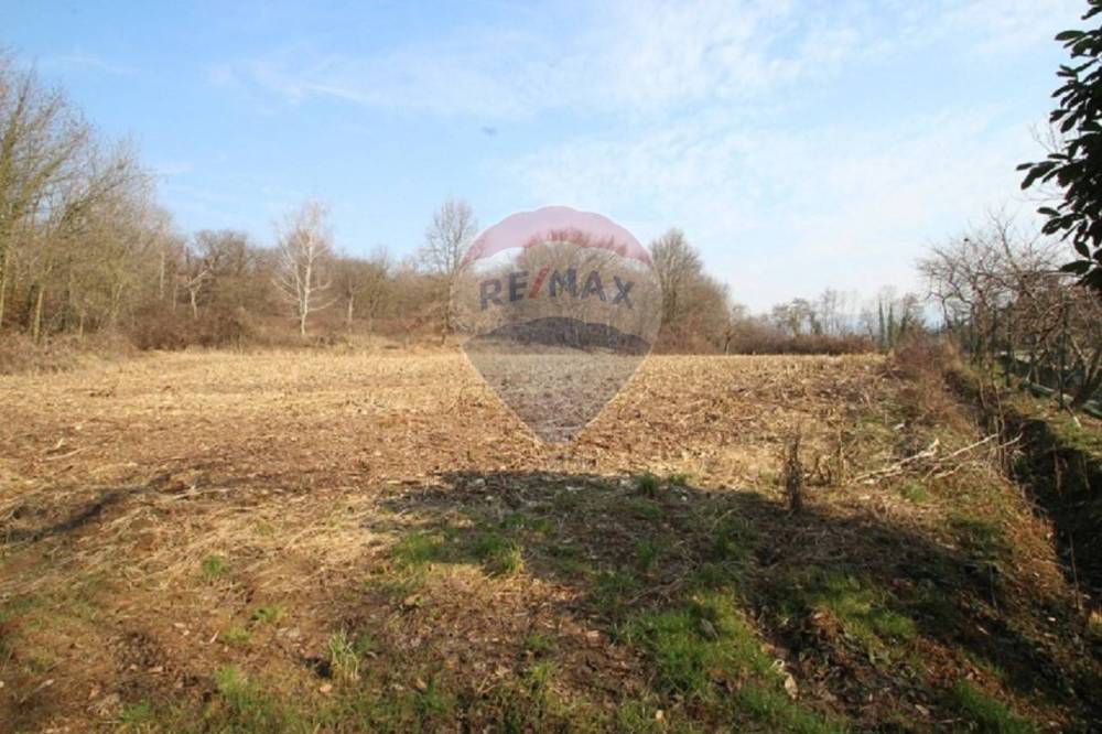 terreno agricolo in vendita a Barzana