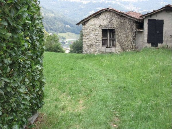 terreno agricolo in vendita a Bedulita