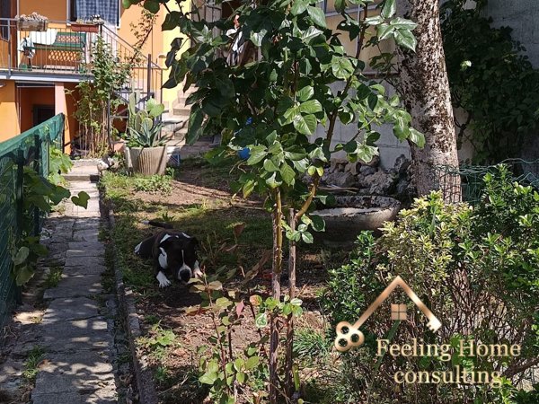 appartamento in vendita a Berbenno