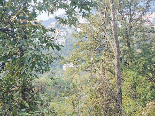 terreno in vendita a Berbenno