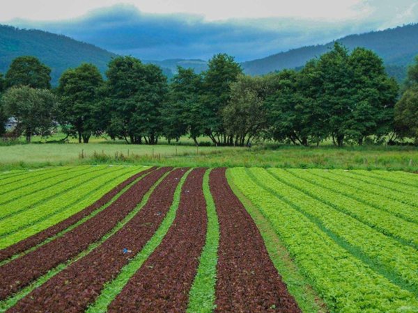 terreno edificabile in vendita a Bergamo in zona Canovine