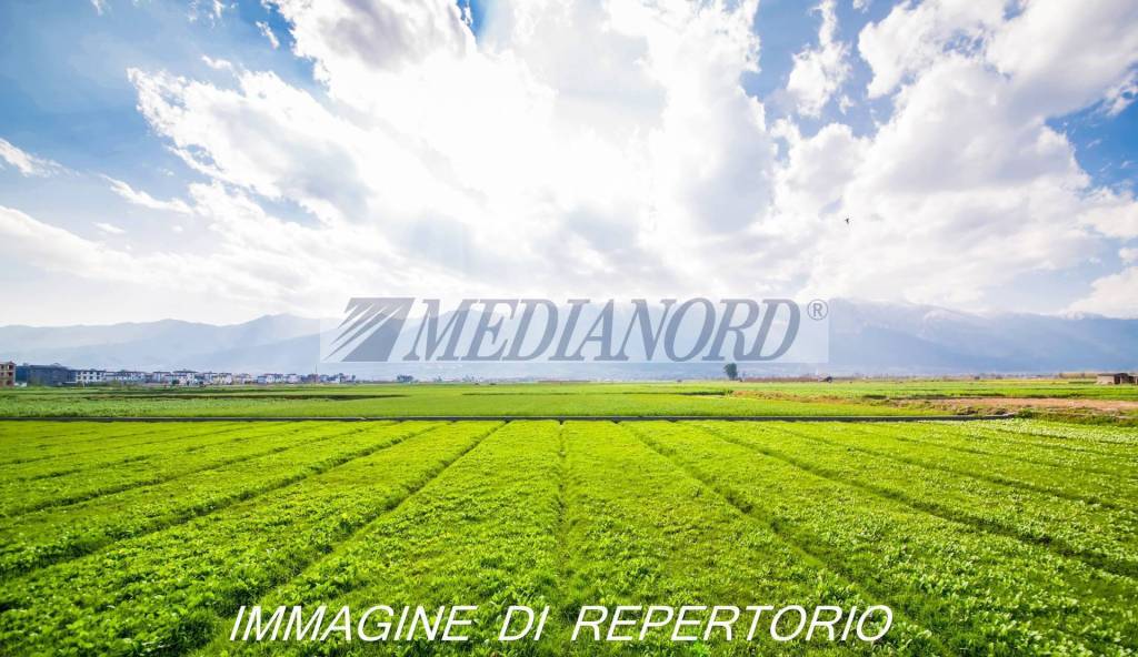 terreno agricolo in vendita a Bergamo in zona Colognola