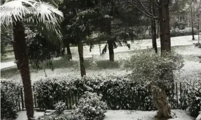 immagine annuncio 0 di 5