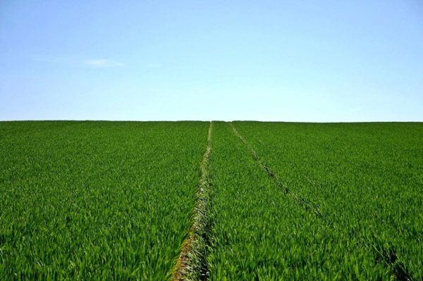 terreno agricolo in vendita a Bergamo in zona Valtesse/Valverde
