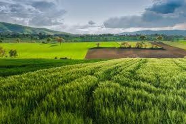 azienda agricola in vendita a Bergamo