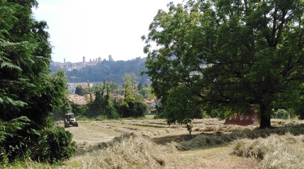 terreno agricolo in vendita a Bergamo in zona Valtesse/Valverde